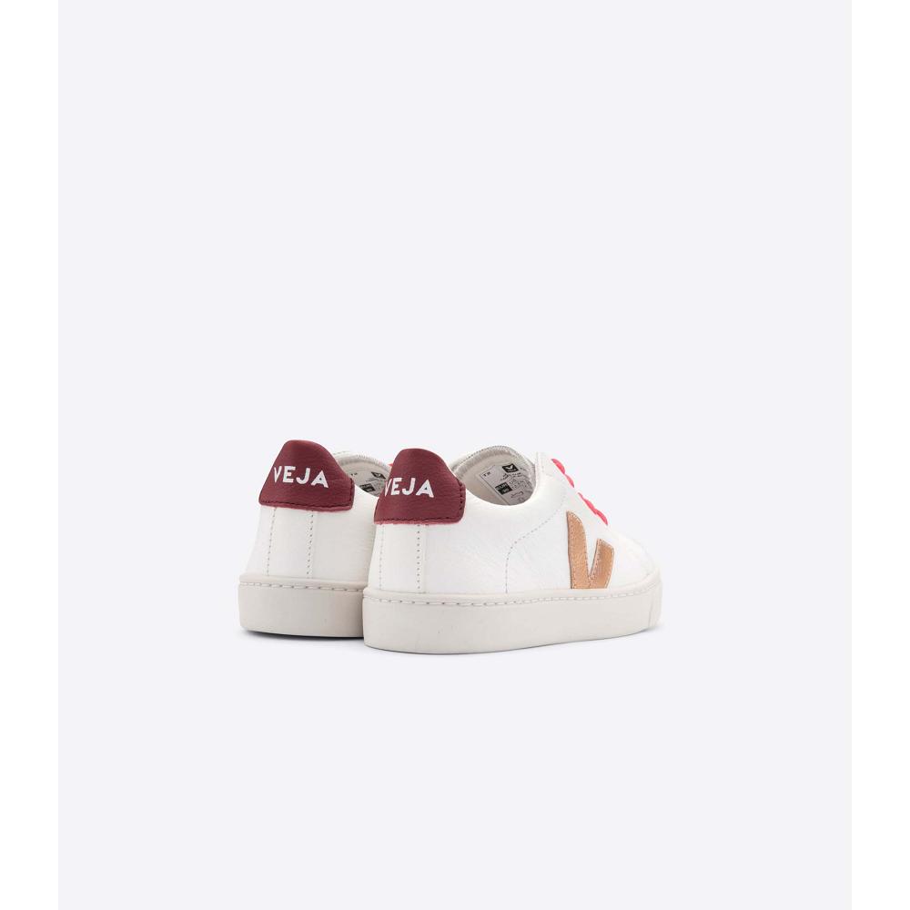 Veja ESPLAR LEATHER Joggesko Barn Gold/Red/White | NO 810OKI